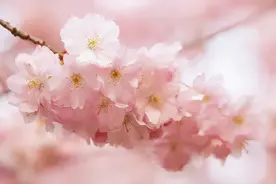 生活中没朋友的人，大多数是这3种原因，很真实图片