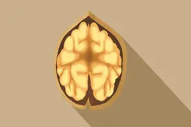 吃核桃，能养生？每天坚持吃核桃，身体会有什么变化？吃多少刚好图片