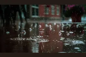 冬天身体发寒，喝这些茶，可以排寒湿！图片