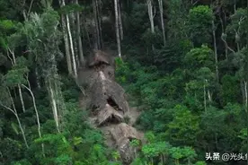 号称“人类禁区”的亚马逊河，有多可怕？当地人：不敢下水游泳图片