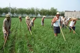 在生产队时，那些挨队长打的人后来都怎样了？图片