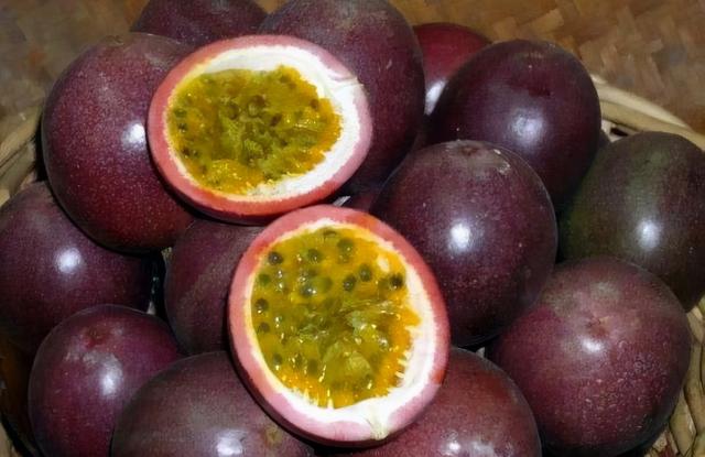 广西一种“酸蛋果”，以往鸟儿都嫌酸，因营养多，现成昂贵的水果