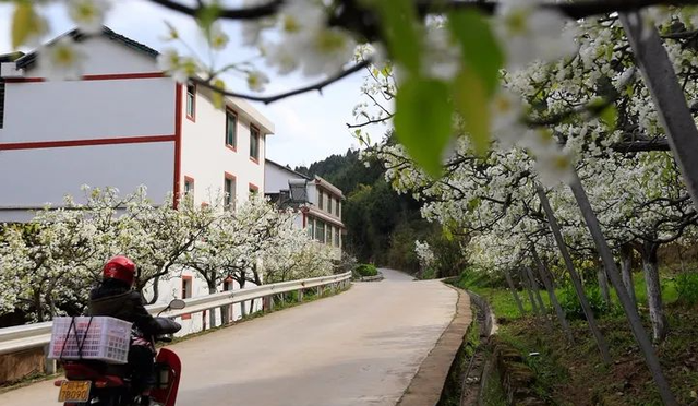 四川省民生研究会新媒体中心-官网