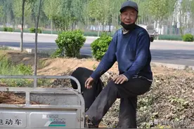 农村老两口捡木柴，说啥不愿“过门儿”的儿媳妇成意外，看咋回事图片