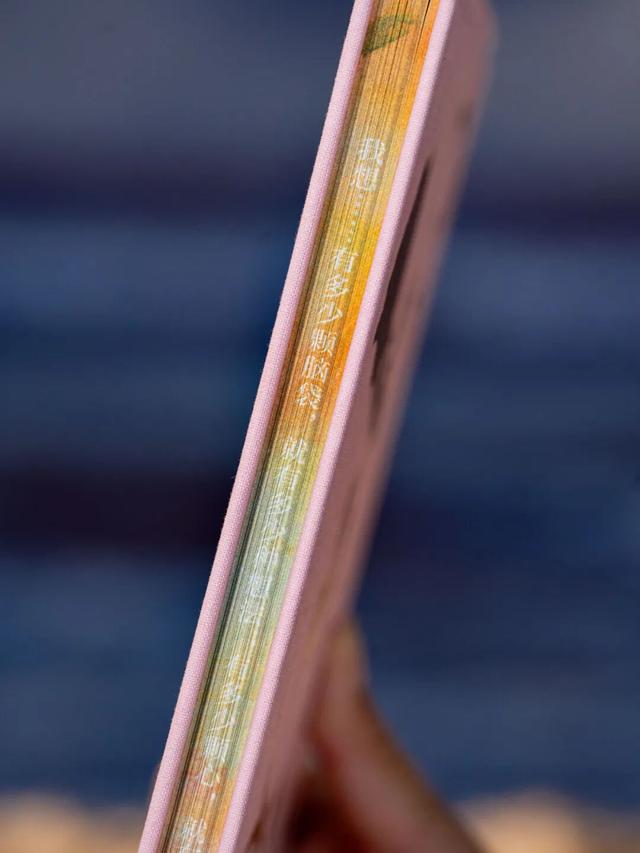 婚后遇见真爱，该沉沦还是放手？