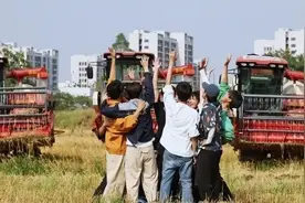梦幻联动！“种地”的“勤天”要来新国潮图片