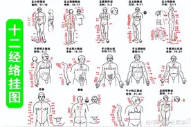 人体十二经脉气血，常数多少不同，治未病，得健康，清楚明了图片