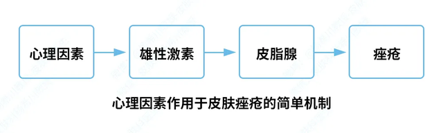 鼻周长痘=肾虚？这几个真相你一定要知道