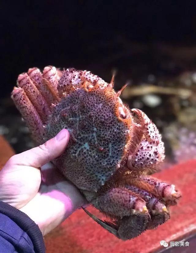 40头的花胶是几级 2025年花胶40头是什么意思?