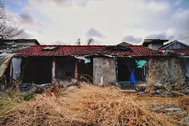 农村征地补偿又出新规，走了这6步才能征收农民的土地图片