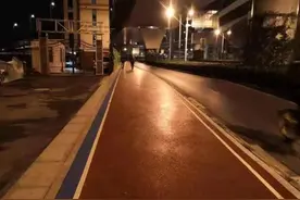 为勇敢的小鹿点赞图片