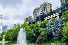 不甘居于第二梯队？攀成钢一小区上演“价格保卫战”图片