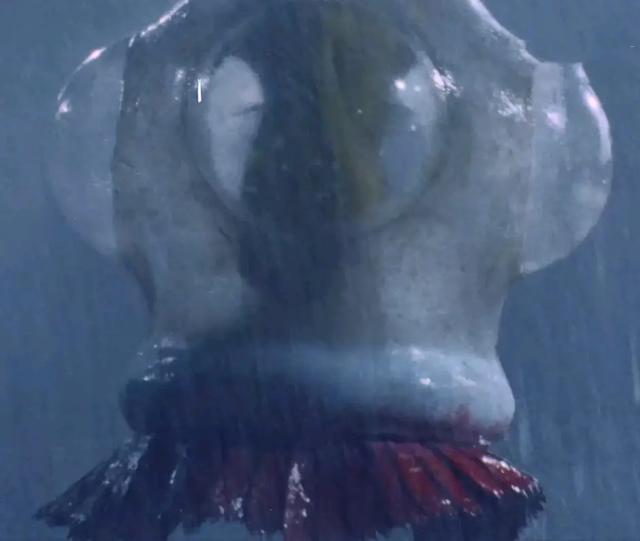 奥特曼系列雷欧奥特曼怪兽百科大全五