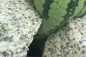 任性的代价：让人一辈子活在自卑自责中图片