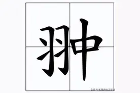 左边一个“羽”右边一个“中”念什么字?图片