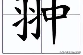 左边一个“羽”右边一个“中”念什么字?图片