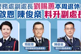 香港警务处副处长刘赐蕙本周退休，这两人料升副处长图片