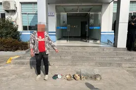 捕抓野兔也犯法？涉嫌非法狩猎罪！图片