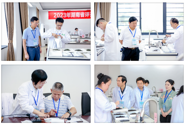 常德榜上有名 2023年湖南省评茶师和调饮师职业技能竞赛圆满收官(图24)