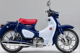 本田幼兽上半年引进，部分经销商开启盲订图片