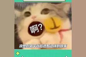 这大概就是刻在中国人骨子里的浪漫吧，民族品牌yyds!!!图片