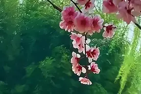 四月份，基本工资调标和绩效奖金均摊与否将尘埃落定，且行且珍惜图片