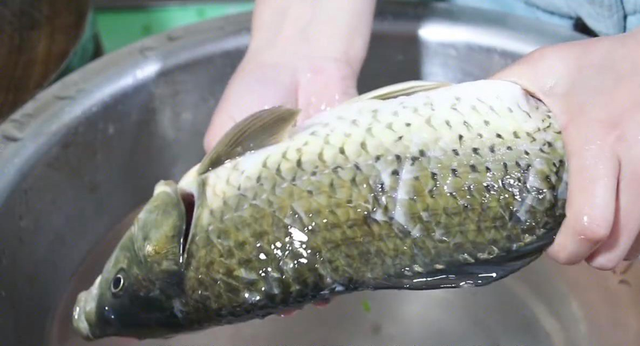 清蒸鱼切记不要放盐和料酒，教你正确做法，鱼肉鲜嫩，不腥不柴