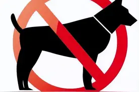 “禁养犬名单”公布，你还在养这些狗吗？图片