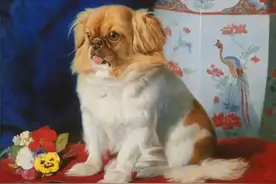 大英博物馆里有一个被隐藏的中国图片