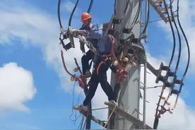 一批“五一劳动奖”丨北港值得拥有图片