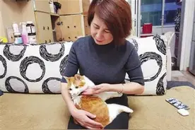 流浪猫“南瓜”在新家过得挺好图片