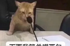 搞笑表情包｜下面我简单喵两句图片