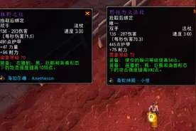 魔兽TBC：熊坦不要狂野之柱，盗贼拒绝野蛮之刃，这2位是排骨人？图片
