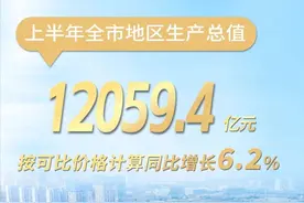 2024年上半年苏州市经济运行情况出炉图片