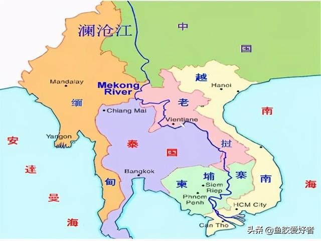 斗湖鱼胶图片 2026年斗湖鱼胶多少钱一斤