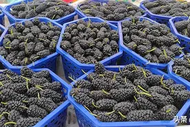 洗桑葚时，有人用清水，有人加盐？教你这样清洗，吃着更放心图片