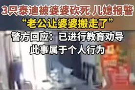 女子3条泰迪犬被婆婆砍死，发文网暴！官方回应：已出警进行教育图片