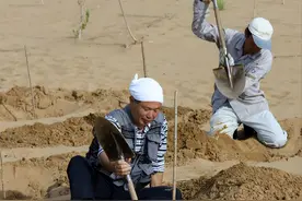 为何蒙古国不治沙？美国专家认为：植树治沙弊大于利，是真是假？图片