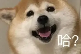 为什么中国人从来不提自己的血统？中国人：谁家祖上没阔过！图片
