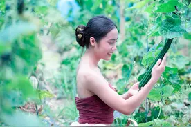 37岁留守妇女自述：丈夫在广州建筑工地做工人，我在家里卖蜂蜜图片