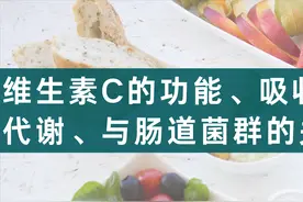 维生素C的功能、吸收代谢、与肠道菌群的关联图片