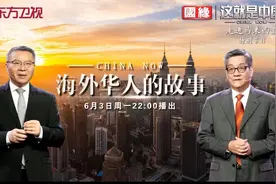 这就是中国第236集#“海外华人的故事”摘要图片
