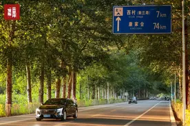 太原市尖草坪区：热度预定！柴西公路，凭颜值出道图片