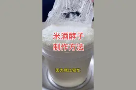 好多人都问我米酒酵子怎么做的？今天分享米酒制作酵子的全过程。#米酒酵子 #米酒酵子馒头 #浮子酒酵子#米酒发面 #米酒馒头