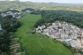 私人消息错发到工作群已超过3分钟无法撤回该怎么办？能补救吗？图片