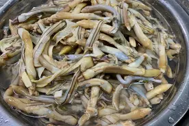 春天碰到蛏子别手软，一次多囤些，放冰箱冻起来，随吃随取真省事图片