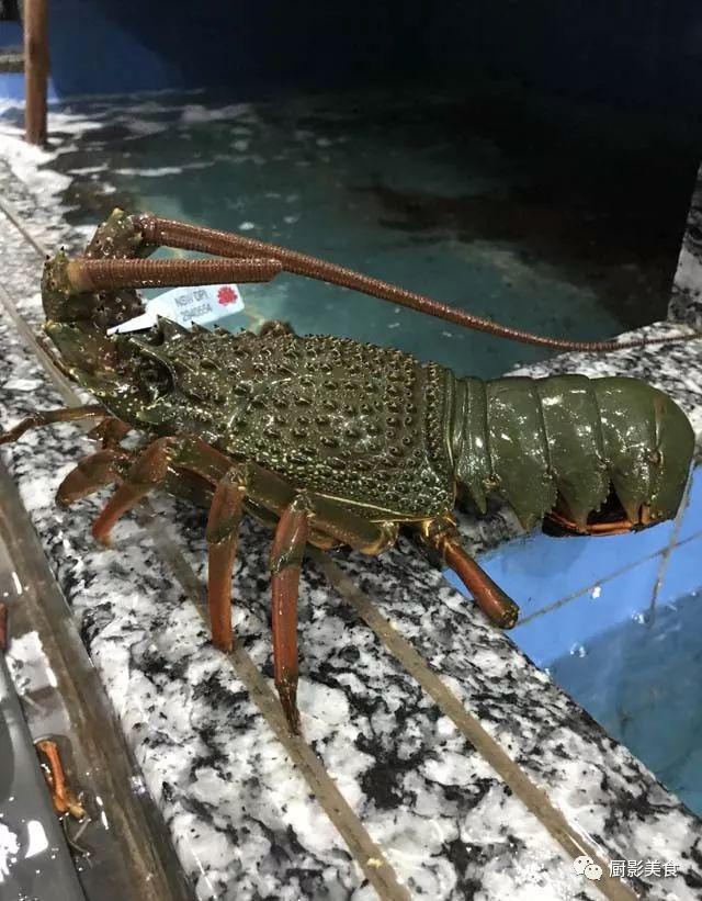 40头的花胶是几级 2025年花胶40头是什么意思?