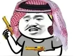 科学家警告：非洲猎豹可能将灭绝，中东富豪给猎豹“致命一击”图片