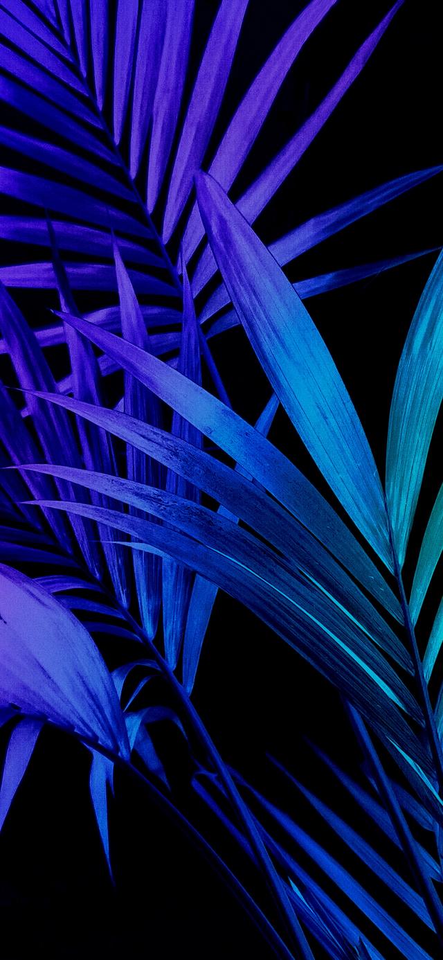 原图壁纸:树叶的艺术形式45种带有花朵叶子的美妙案:「针织图解」45种