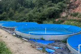 帆布鱼池多少钱一平方，养鱼帆布池便宜还是水泥池便宜图片